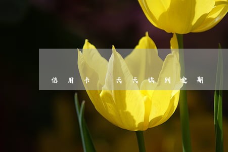 信用卡 天天收到逾期